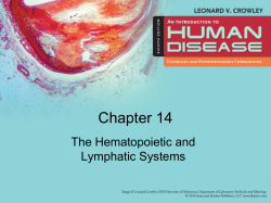 The_Hematopoietic_and_Lymphatic_Systems