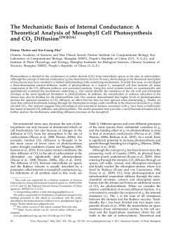 The Mechanistic Basis of Internal Conductance