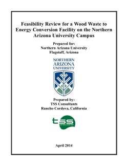 Feasibility Review for a Wood Waste to Energy Conversion Facility