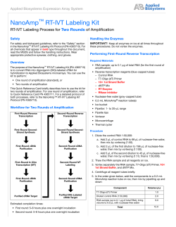 RT-IVT Labeling Process for Two Rounds of Amplification (PN