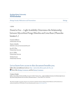 Friend or Foe&mdash;Light Availability Determines the