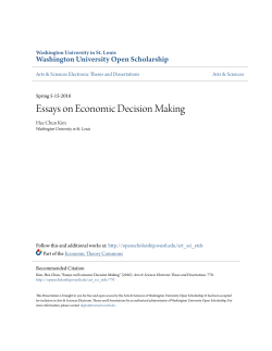 Essays on Economic Decision Making