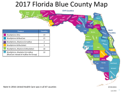 2017 Florida Blue County Map