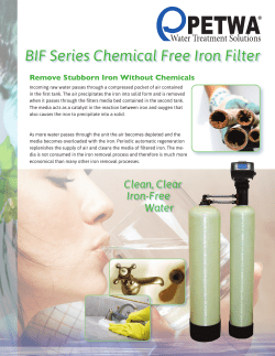 BIF Series Chemical Free Iron Filter