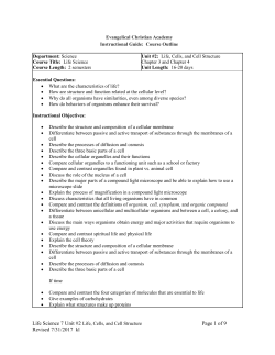 1. Magnification - Evangelical Christian Academy