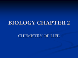 BIOLOGY CHAPTER 2