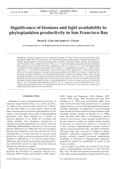 Significance of biomass and light availability to phytoplankton