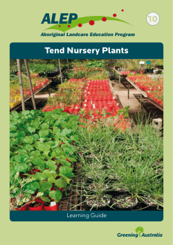 Tend Nursery Plants 10