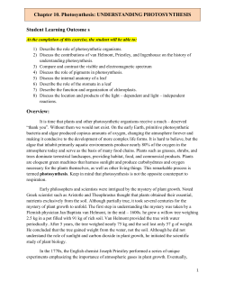 Lab 8. Photosynthesis