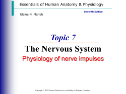 T7 Nervous System- Physiology of nerve impulse
