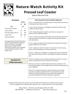 Pressed Leaf Coaster - Nature