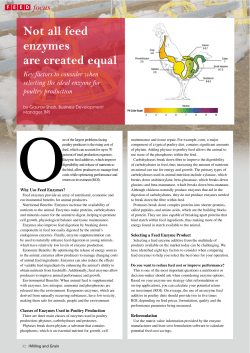 Not all feed enzymes are created equal