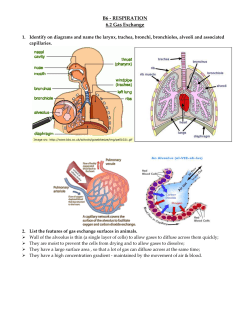 B6.2 Revision notes