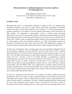 Introduction - University of Miami