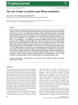 The role of light in soybean seed filling metabolism - Shachar