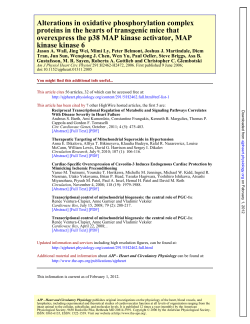 kinase kinase 6 overexpress the p38 MAP kinase activator, MAP