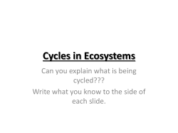 Cycles in Ecosystems