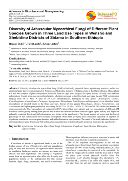 Diversity of Arbuscular Mycorrhizal Fungi of Different Plant Species
