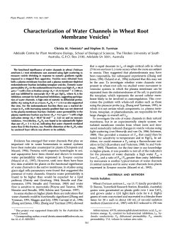Characterization of Water Channels in Wheat Root Membrane