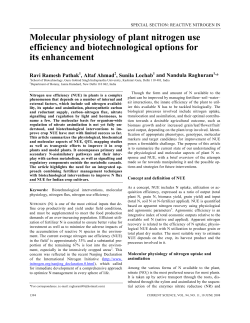 Molecular physiology of plant nitrogen use efficiency and