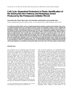 Cell Cycle&ndash;Dependent Proteolysis in Plants