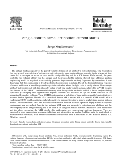 Single domain camel antibodies: current status