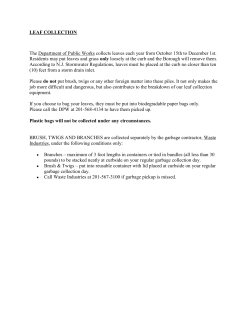 LEAF COLLECTION The Department of Public Works collects leaves