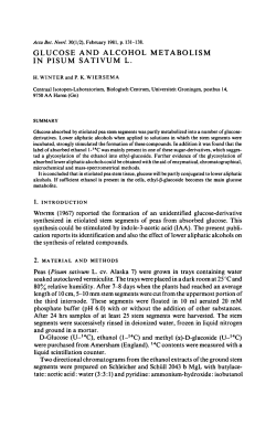 Glucose alcohol metabolism sativum (Pisum