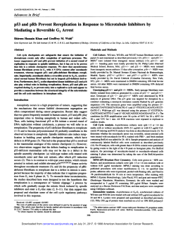 p53 and pRb Prevent Rereplication in Response to Microtubule