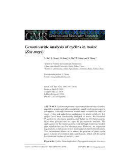 Genome-wide analysis of cyclins in maize (Zea mays) - Funpec-RP