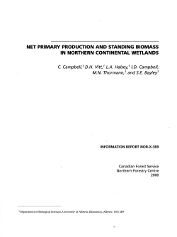 NET PRIMARY PRODUCTION AND STANDING BIOMASS IN