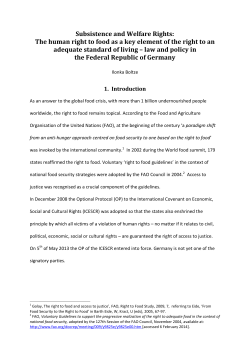 Subsistence and Welfare Rights: The human right to food as a key