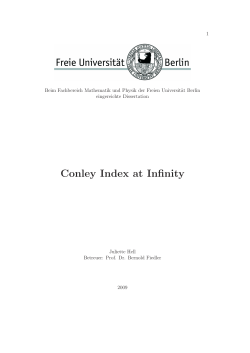 Conley Index at Infinity - Nonlinear Dynamics at the Free University