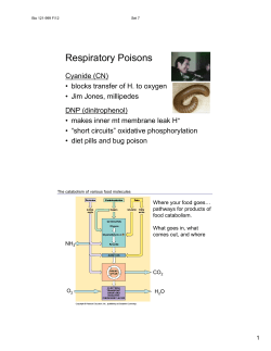 Respiratory Poisons - Missouri State University