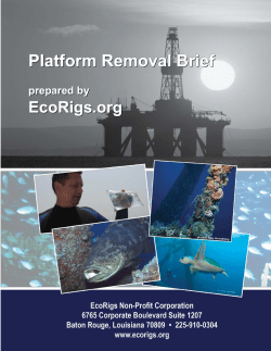 EcoRigs Platform Removal Brief