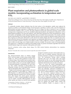 Plant respiration and photosynthesis in