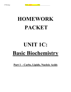 Basic Biochemistry Part 1 &ndash; Carbs, Lipids, Nucleic Acids