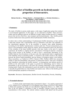 The effect of biofilm growth on hydraulic properties of bioreactors