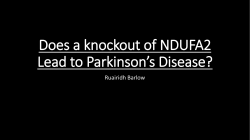 Does a knockout of NDUFA2 Lead to Parkinson*s