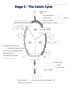 Three molecules of combine with with the help of