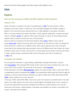 How do cells make copies of DNA?