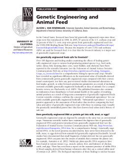 Genetic Engineering and Animal Feed
