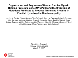 Organization and Sequence of Human Cardiac Myosin Binding