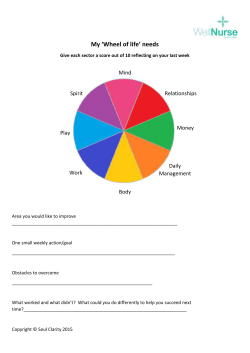 My `Wheel of life` needs