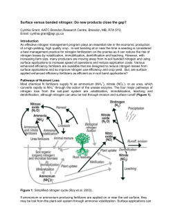 Surface versus banded nitrogen