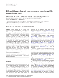 Differential impact of chronic ozone exposure on expanding and