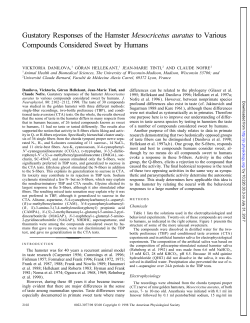 Gustatory Responses of the Hamster Mesocricetus auratus to
