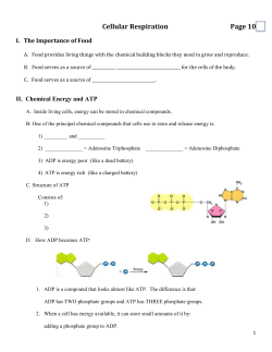 7. In a cell, ATP is used continuously and must be regenerated