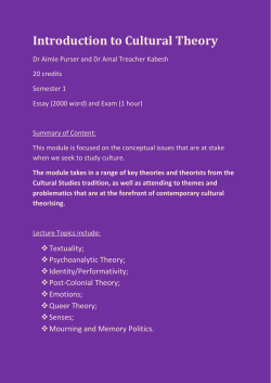 Introduction to Cultural Theory