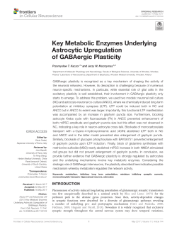 Key Metabolic Enzymes Underlying Astrocytic